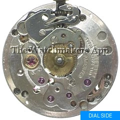 Tudor 2424