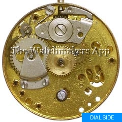 UMF 23-31