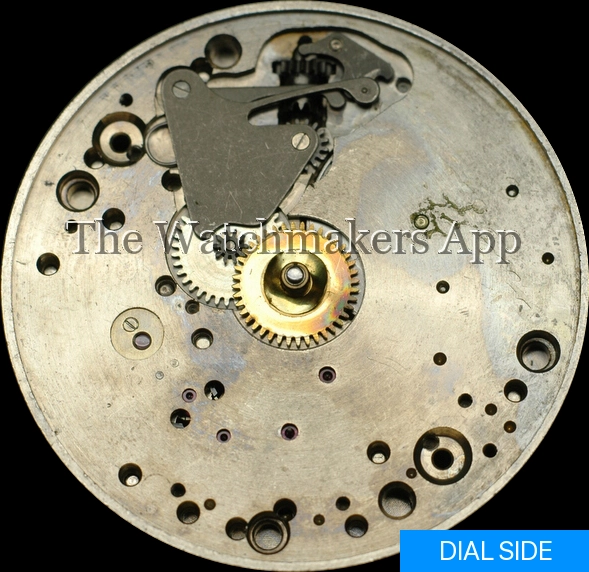 Unitas 343