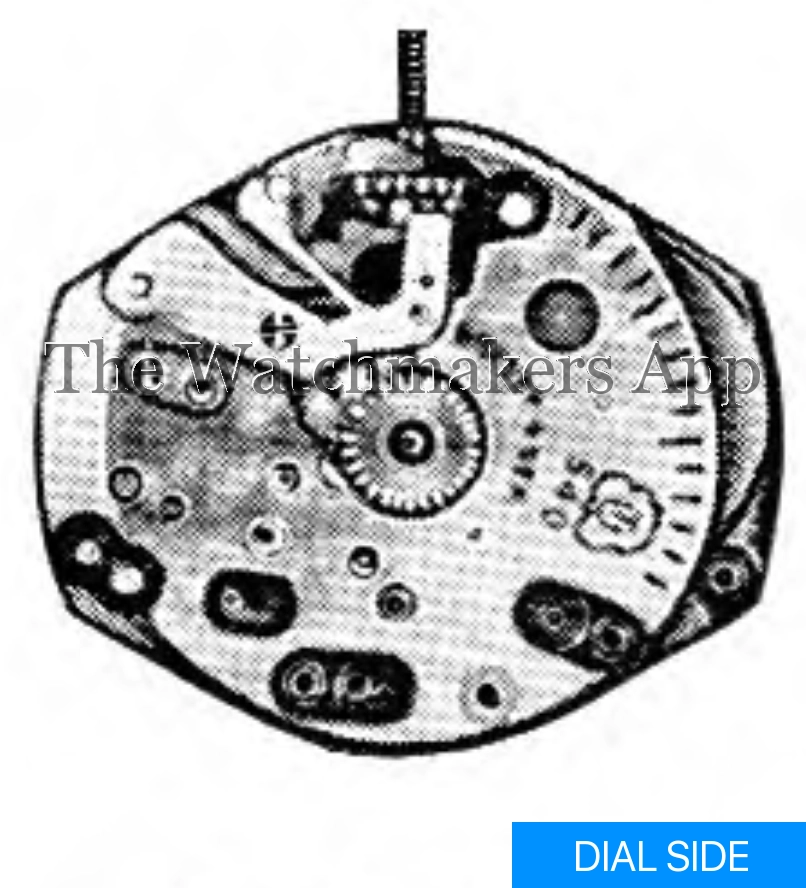 Unitas 555