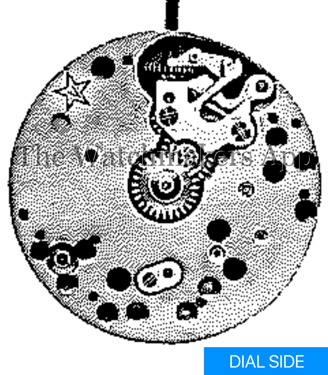 Venus 107
