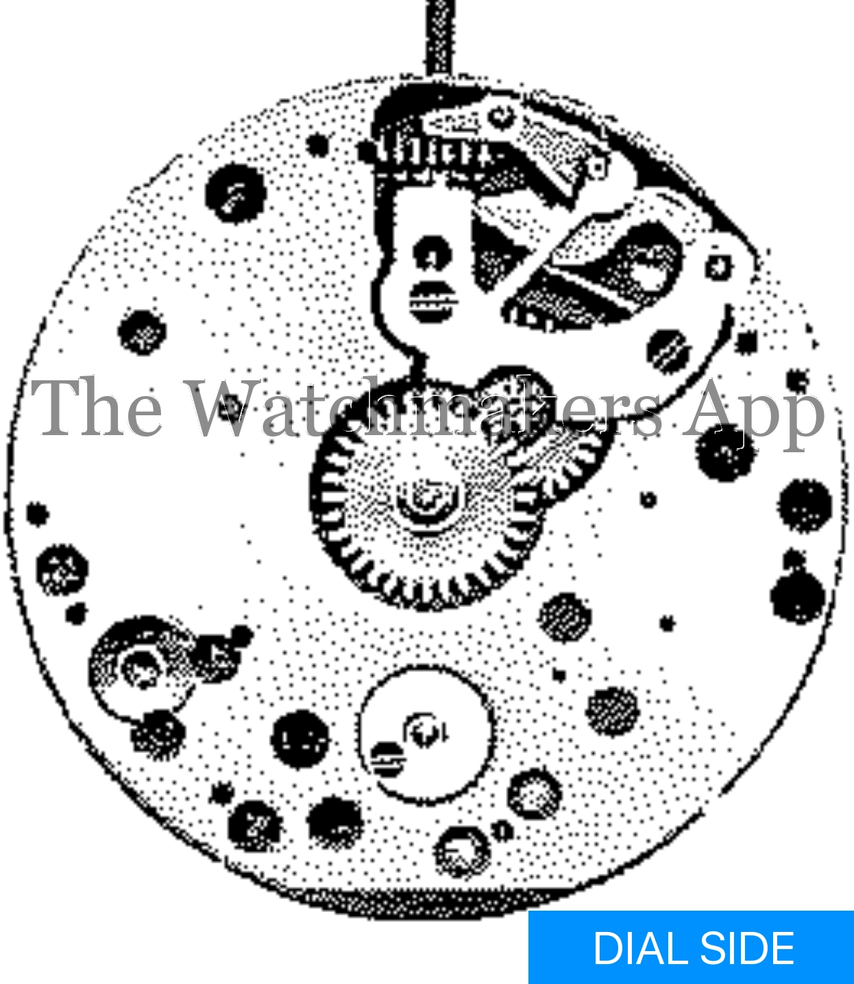Venus 111