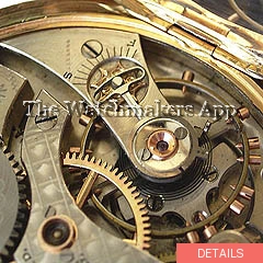 Waltham 1899, hunter