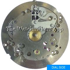 Wittnauer 11BG