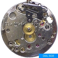 Zodiac 10
